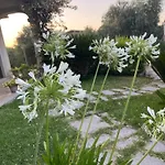 Pensión Il Tramonto