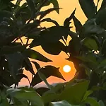 Il Tramonto 3* Giba