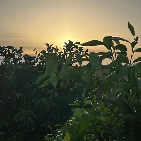 Il Tramonto Πανσιόν