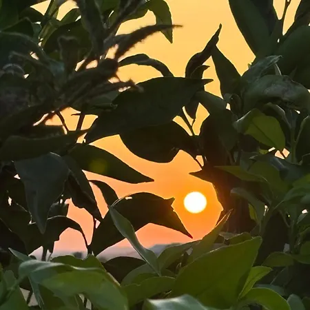 Il Tramonto 3* Giba