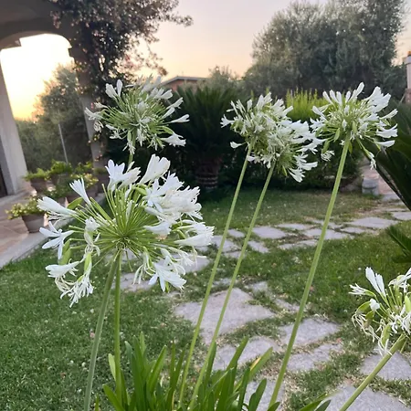 Konukevi Il Tramonto